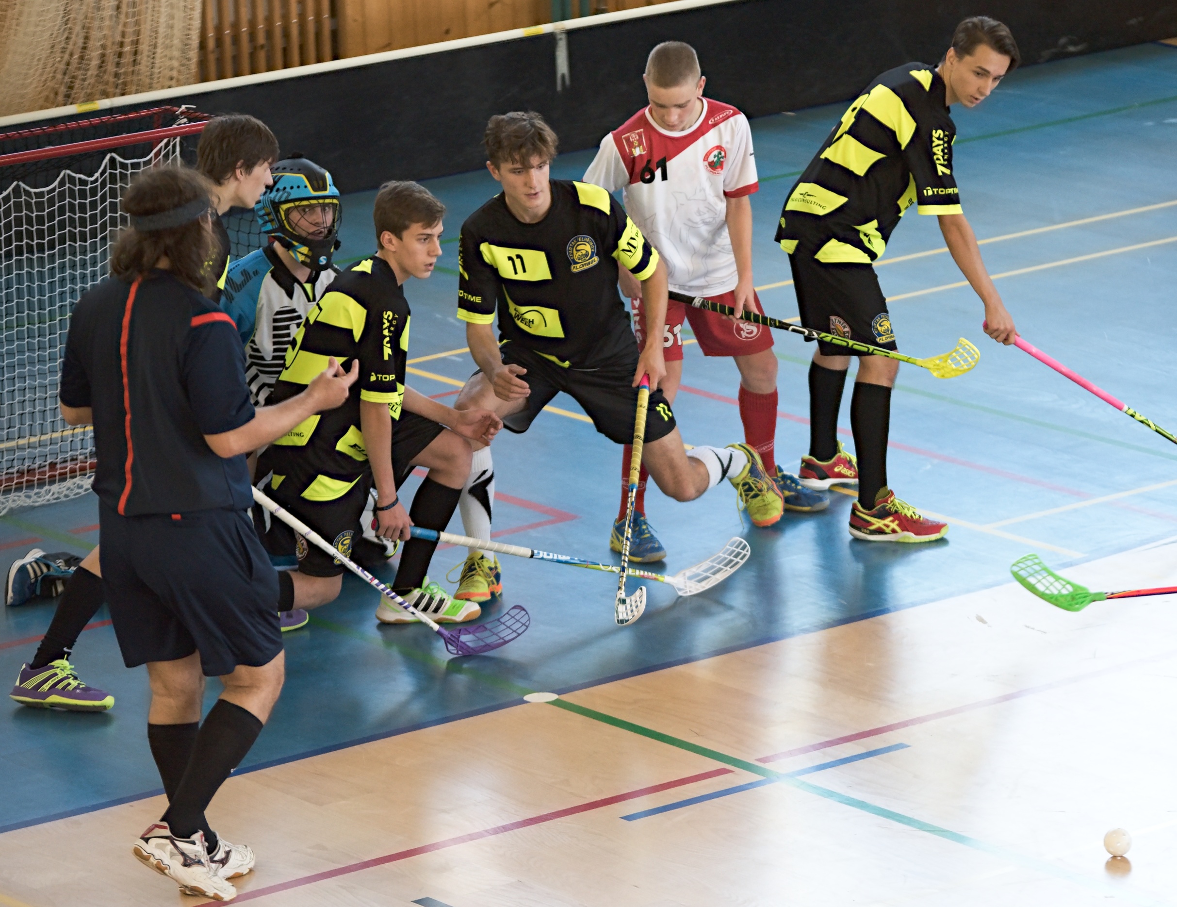 JunciLedec241015 076